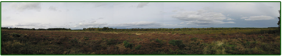 Culloden